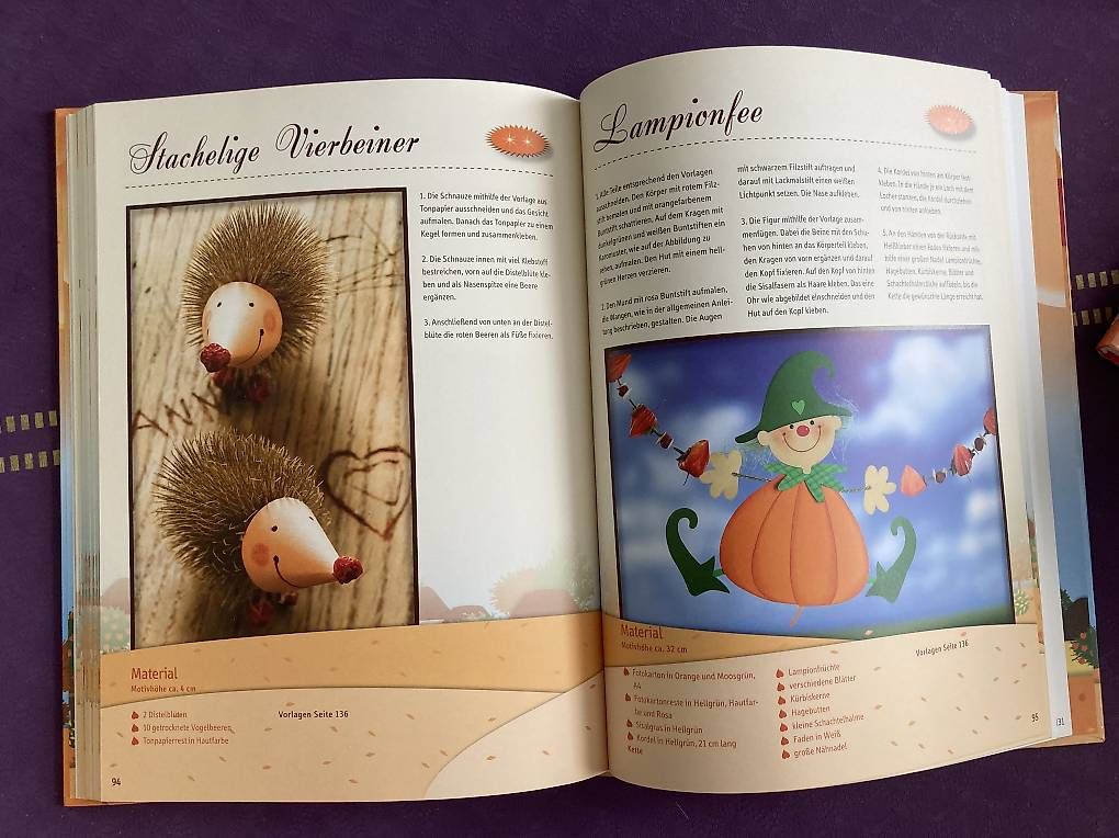 Libri: Herbstlicher Bastelzauber – Usato da Bellach venduto da lia_26tj 1