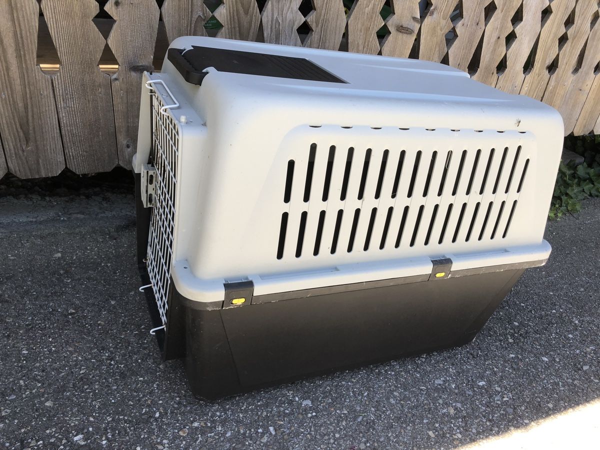Ferplast Käfige, Transport & Sicherheit: Hundetransportbox XL – Gebraucht aus Liestal von Thunderstore