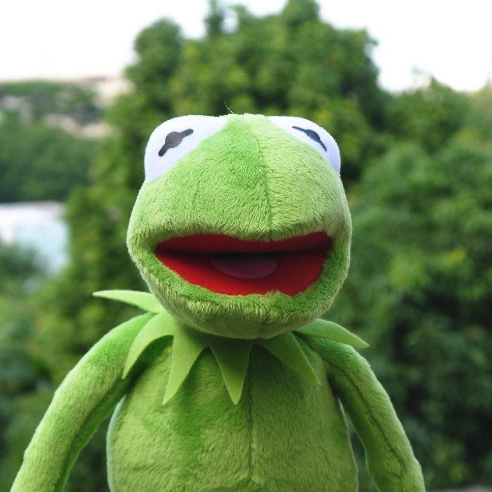 Spielzeuge: Kermit der Frosch von der Muppet Show 40 – Neu und originalverpackt aus Winterthur von dzGadgets