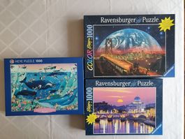 Puzzle, 3-er Set (Blachon, leuchtend...)
