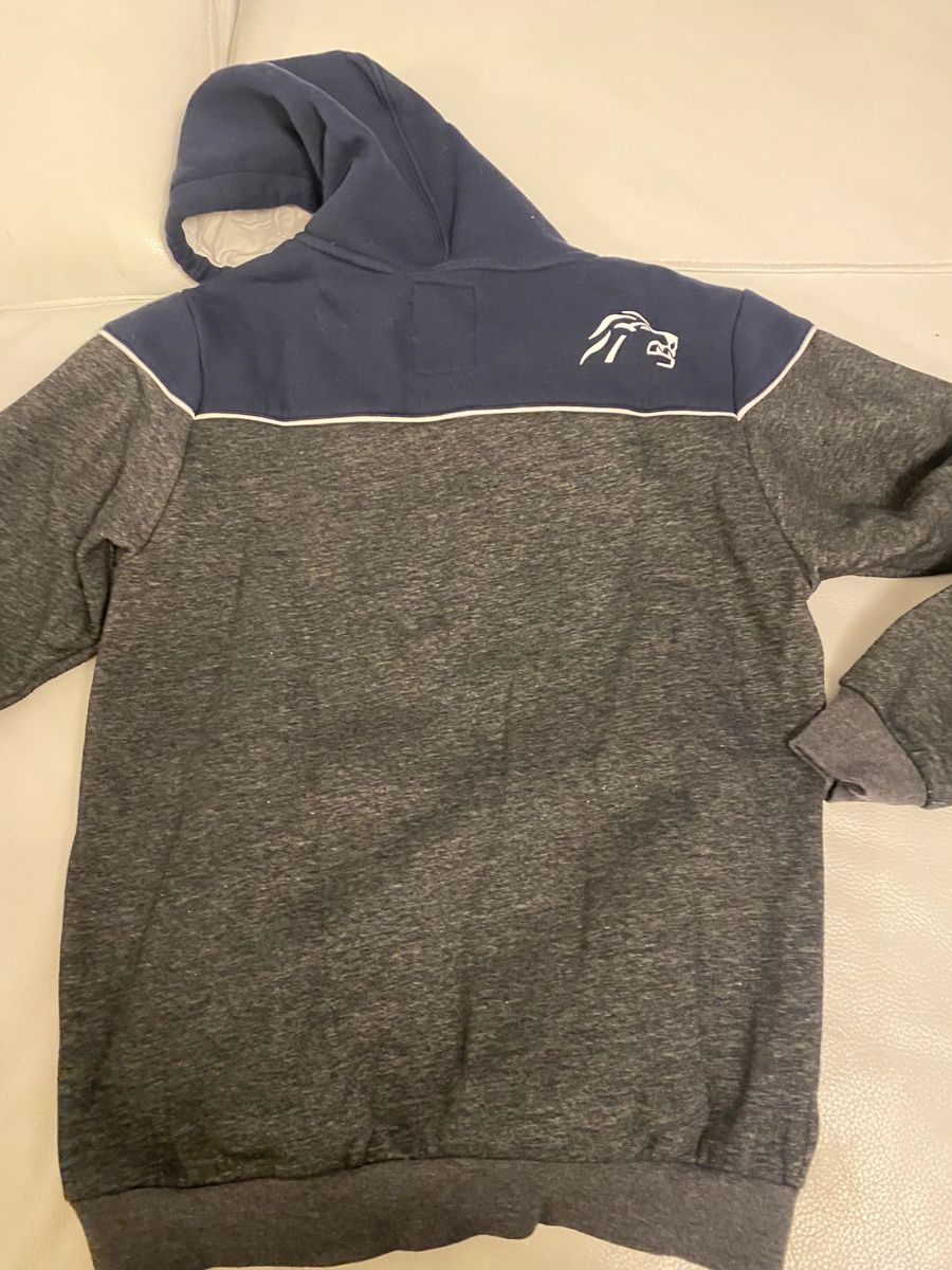 Zsc Lions Pulls & Sweat-shirts: ZSC Lions Pullover – D'occasion à Opfikon par Luis144 1
