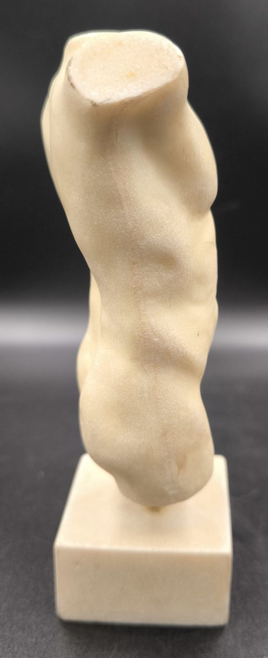 Skulpturen & Statuen: Männertorso – Gebraucht aus Rorschacherberg von snOOpydOg11 8
