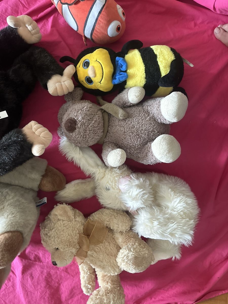 Spiele: Peluche SET  – Gebraucht aus Uster von bek_v2ct 2