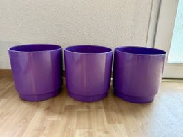 3 grosse neue Blumentöpfe Pflanzentöpfe lila glasiert