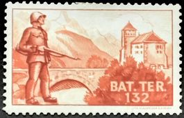 Soldatenmarke 2.WK, Ter Batallion 132, Wi Ter 240