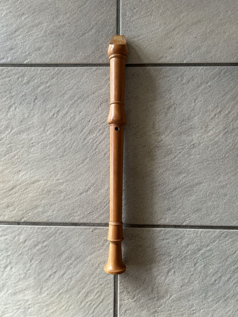 Instruments de musique: Blockflöte mit Heft – D'occasion à Steffisburg par betsysclassics 2