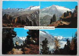 Naturschutzgebiet Aletschwald
