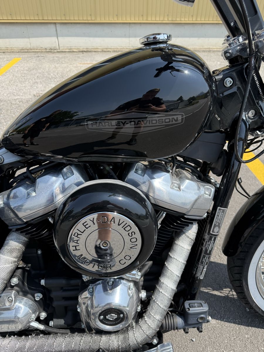 Harley-Davidson Autres: Harley-Davidson softail standard FXST – D'occasion à Ollon VD par lio_n57m 8