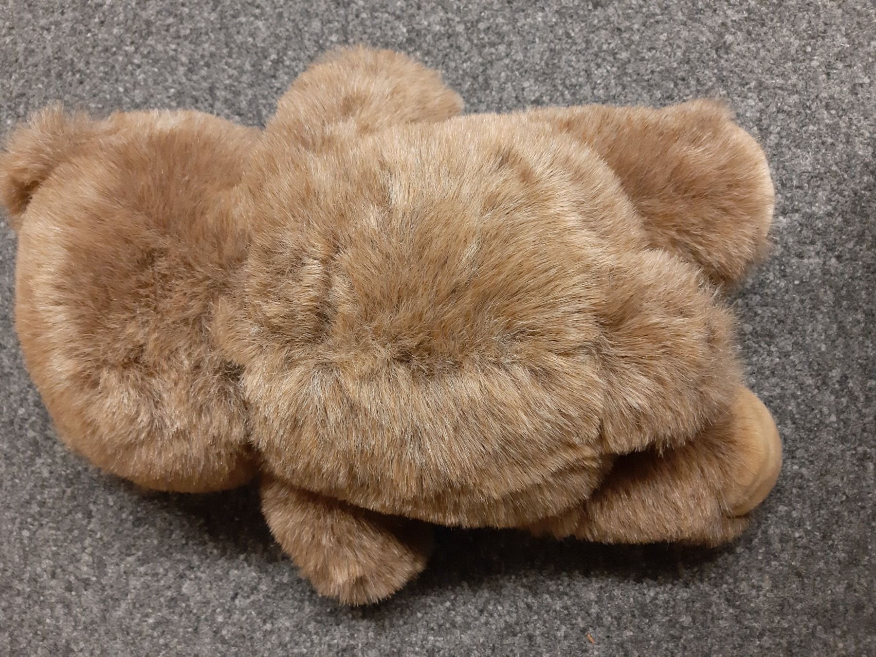 Giocattoli: Plüsch Teddybär 50cm – Usato da Schmitten venduto da Renistern68 1