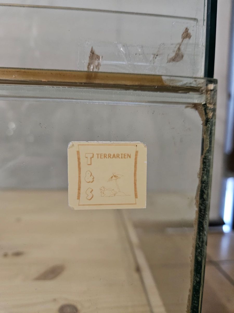 Terrario: Glas-Terrarium für Hamster oder Rennmäuse  – Usato da Wolfhausen venduto da FamB 5