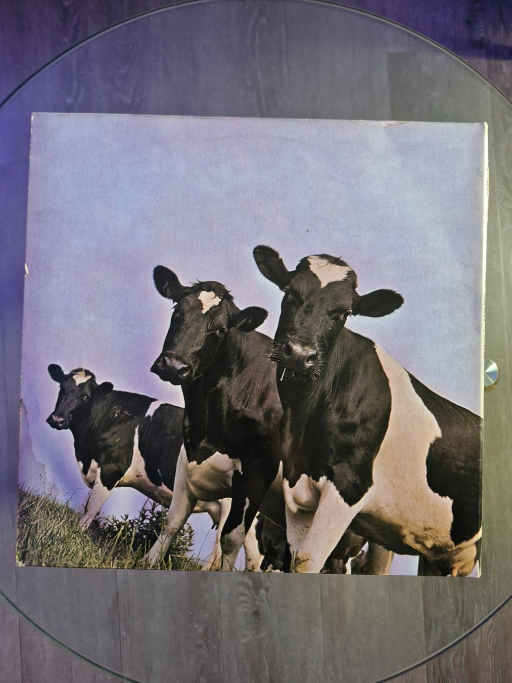 Schallplatten: LP - Pink Floyd - Atom Heart Mother - Vinyl – Gebraucht aus Aadorf von MediaGuru 1