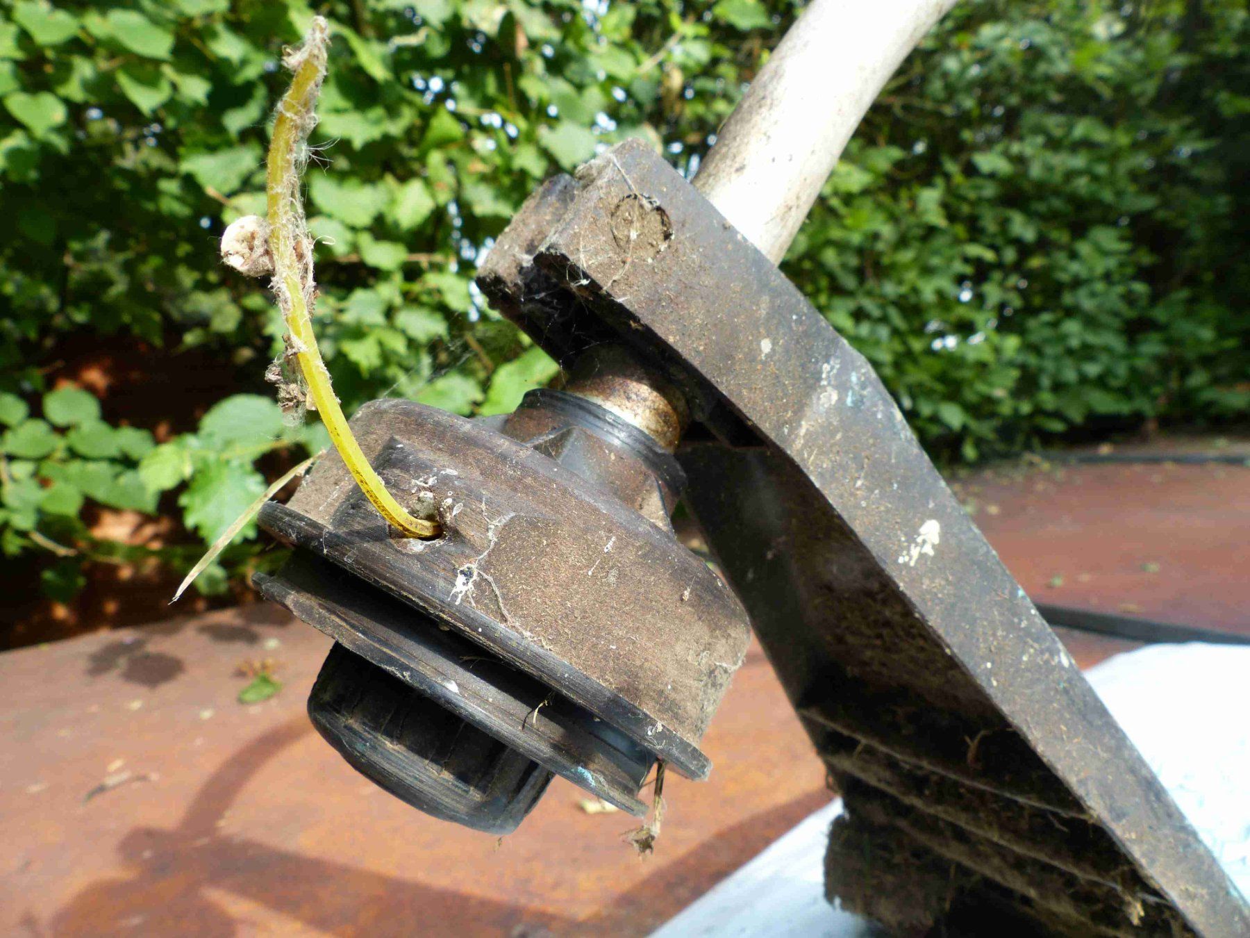Tutte le macchine: Rasentrimmer mit Benzinmotor – Difettoso da Jona venduto da Cinnestig 4