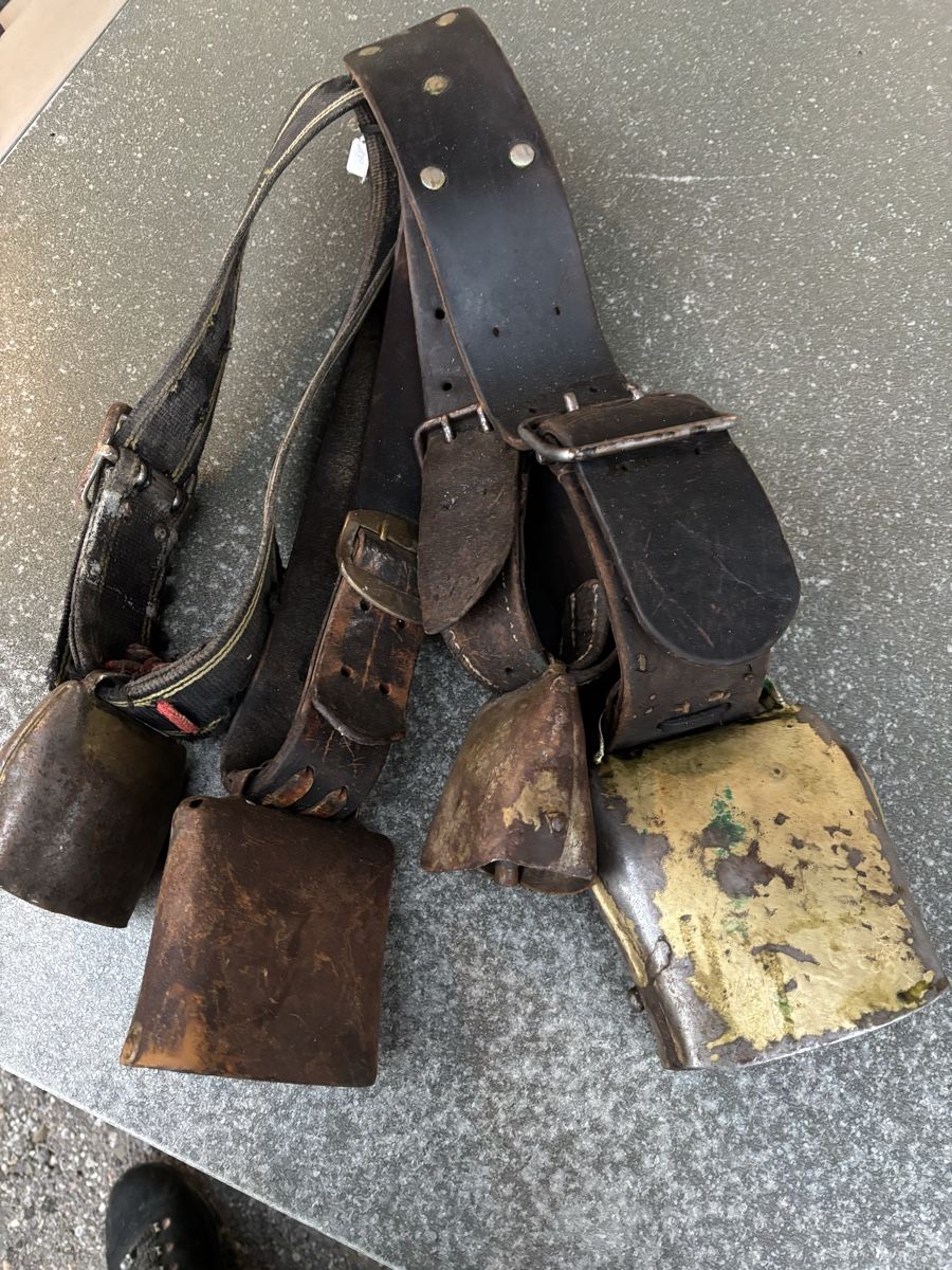 Campanacci mucche: 4 Bissen. – Usato da Schangnau venduto da Roseggli82