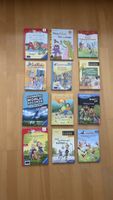 Tolle Bücher im Konvolut oder pro Stück! Alle bei Antolin