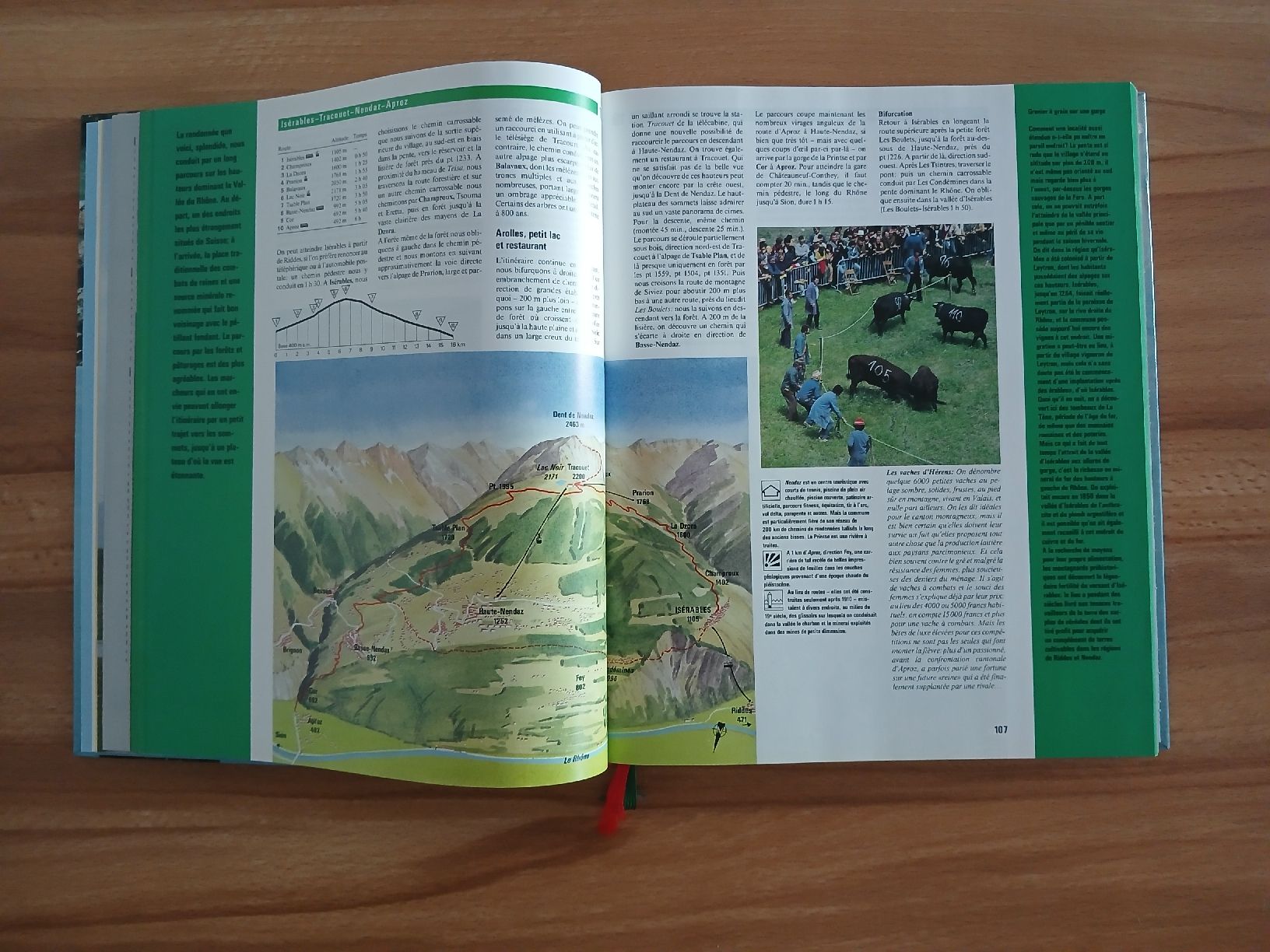 Livres: Guide Suisse vacances et loisirs – D'occasion à Le Sentier par arc_2thy 5
