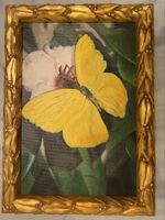 Gemälde Schmetterling mit Goldrahmen, Wanddeko, Vintage