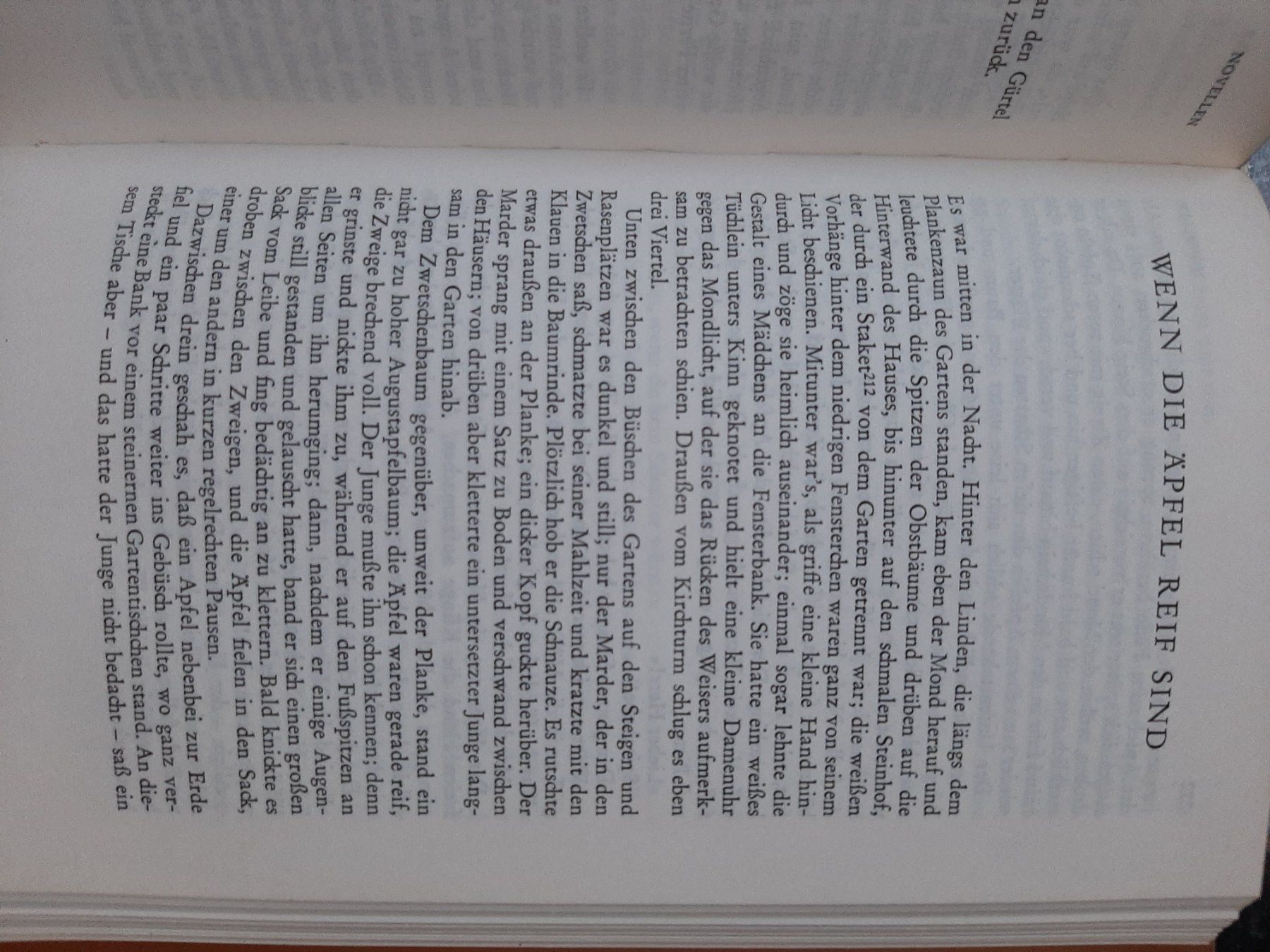 Livres: Theodor Storm – D'occasion à Perlen par Safari_23 2