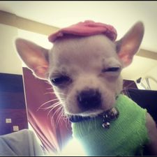 Profile image of Camila_Ricardo