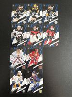 Sportzoo playoff /60