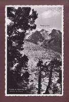 AROLES DU VESEVAY - Glacier du Trient