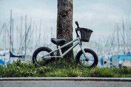 Siech Cycles Balance 12"