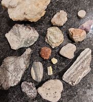Steinsammlung - Einzigartig & Vielfältig