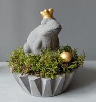 Zickzackschale aus Beton mit Froschkönig