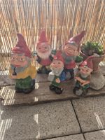 Diverse Gartenzwerge