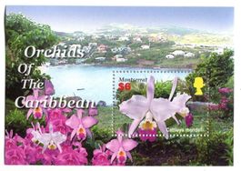 Block "Orchideen". Montserrat.