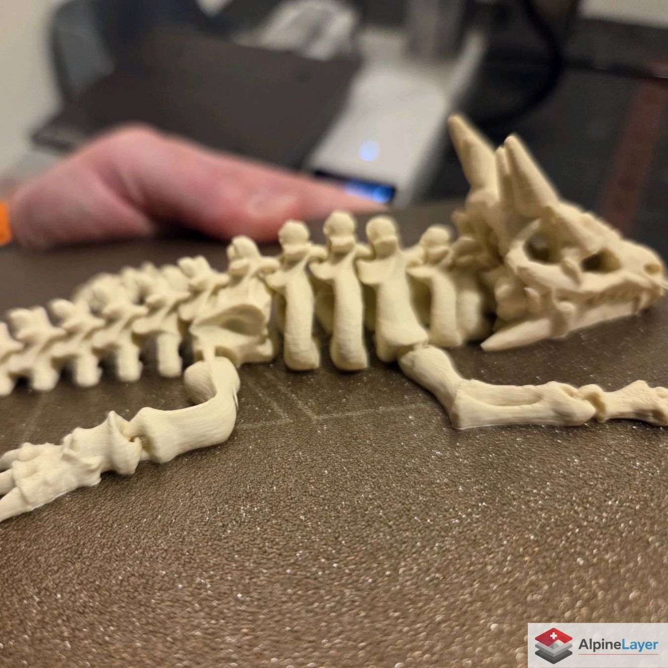 Giocattoli: Articulated Skeleton Dragon 3D Printed Figure – Nuovo (secondo la descrizione) da Losone venduto da AlpineLayer 1