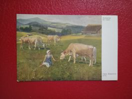 AK Kunst Wien Massmann Kuhweide antik Color