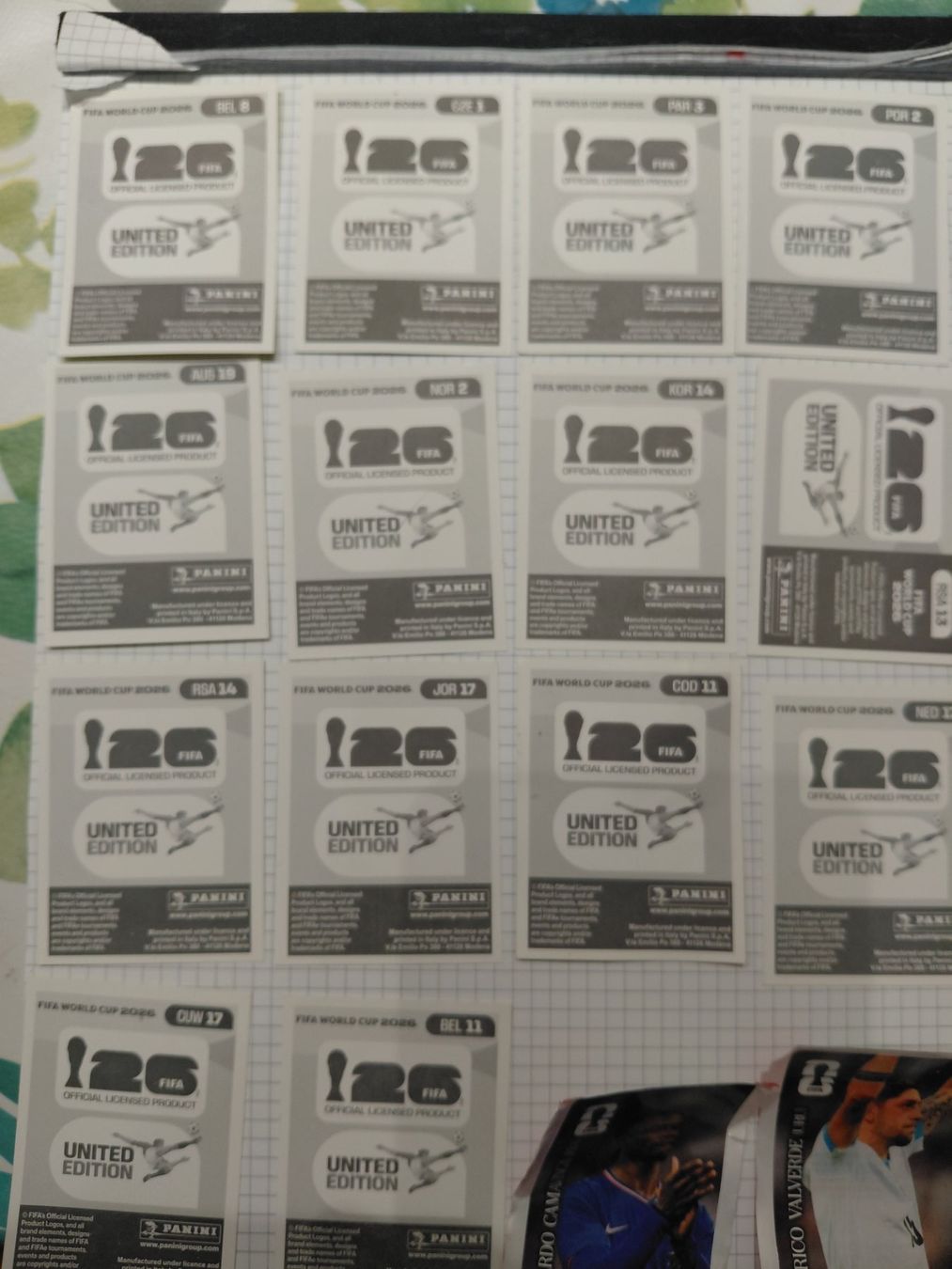 Panini Carte collezionabili: PANINI FIFA WORLD CUP 2026 – Nuovo (secondo la descrizione) da Dietikon venduto da annikpatrik 3
