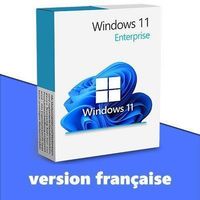 Windows 11 Enterprise (5PC) - FR