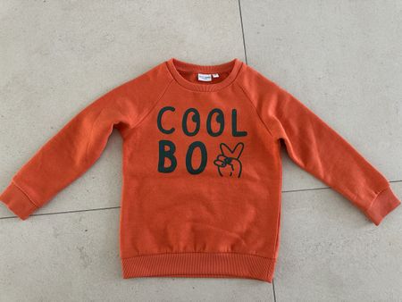 NAME IT Sweatshirt Gr. 110 WIE NEU