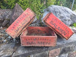 Holzkisten Rheinfelder Salmen rot 3 Stk. gebraucht
