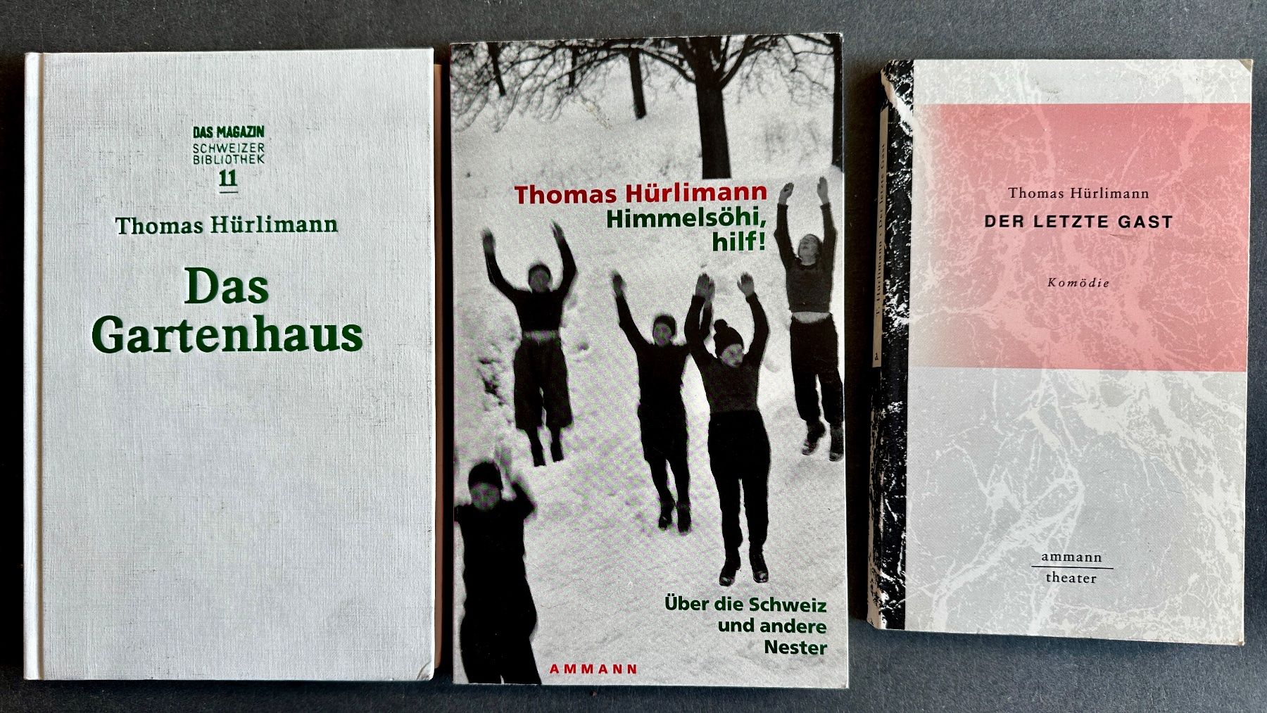 Libri: Thomas Hürlimann Bücherpaket 5 Bände – Usato da Zürich venduto da allp 1