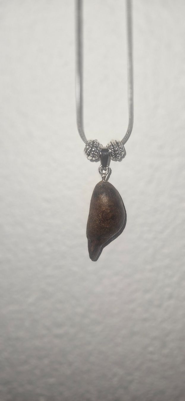 Catenine: Baumperlen - Kette – Nuovo (secondo la descrizione) da Biel/Bienne venduto da Aura1