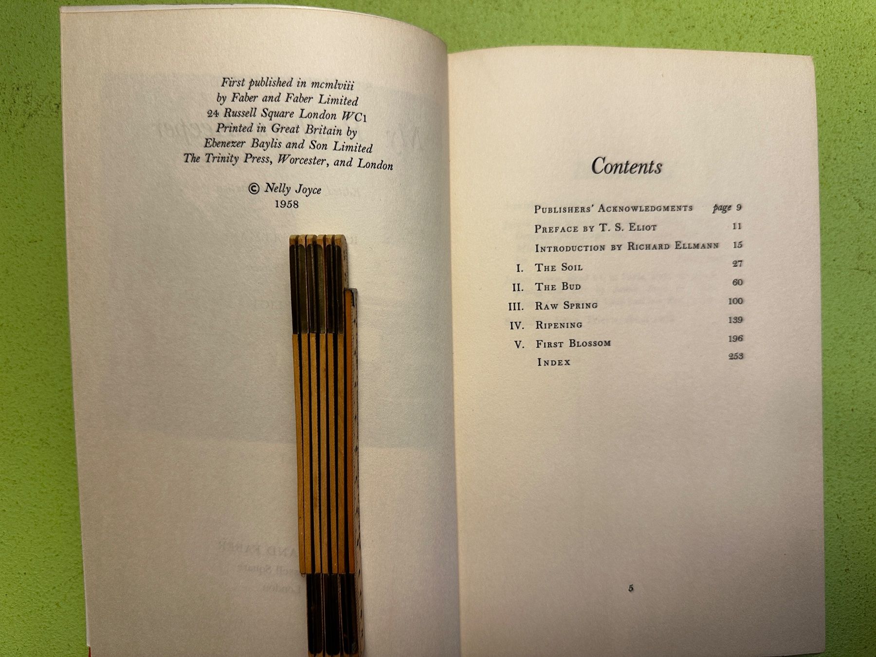 Libri: Stanislaus Joyce: My Brother's Keeper. EA 1958 – Usato da Zürich venduto da allp 2