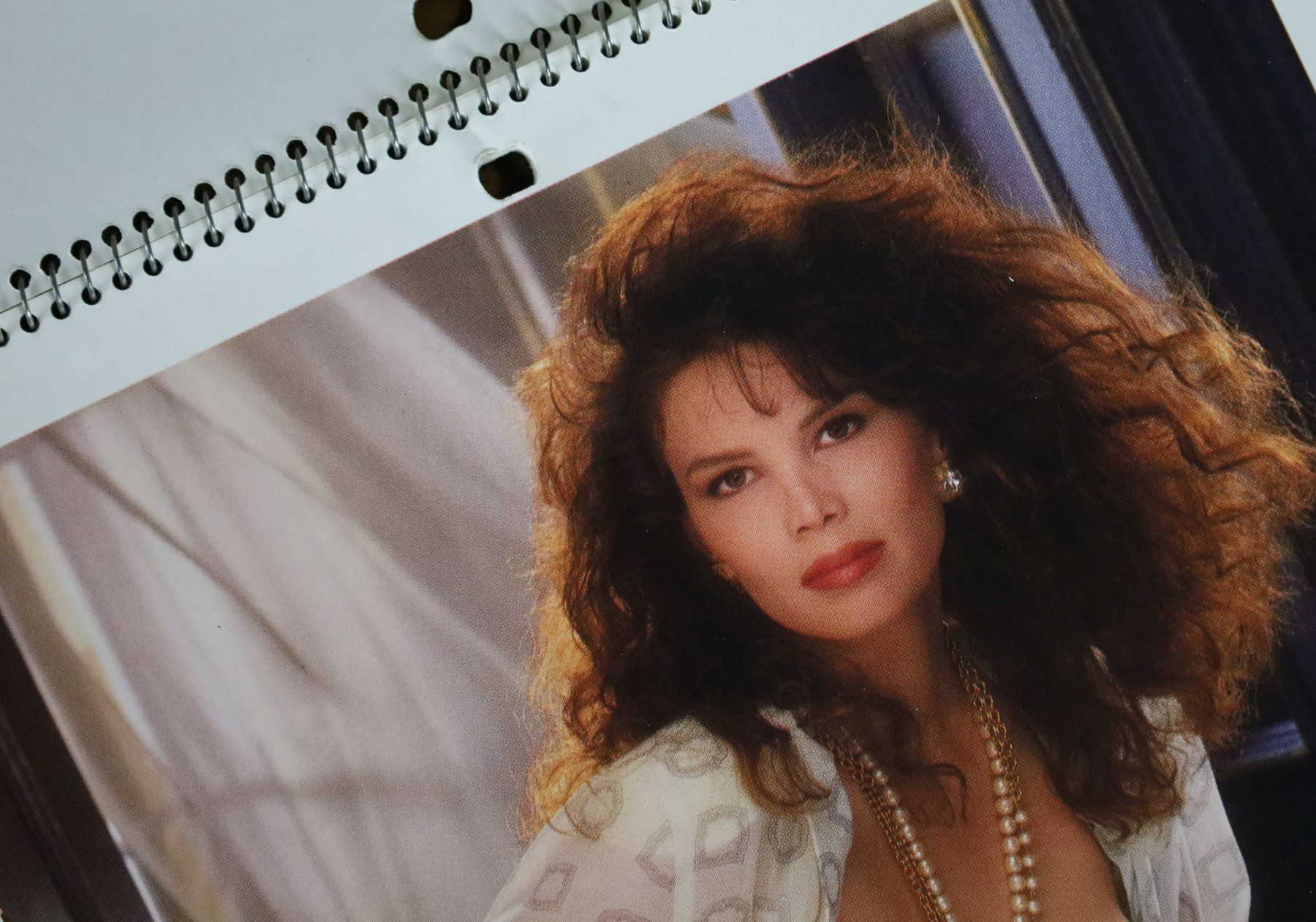 Playboy Calendari: PLAYBOY Kalender 1990 mit Erika Eleniak – Usato da Birrwil venduto da brandschatz_birrwil 3