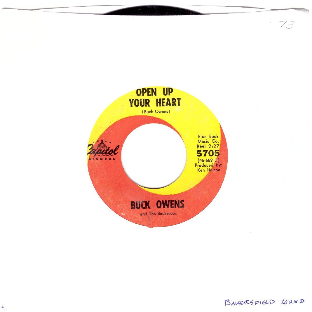 Dischi in vinile: BUCK OWENS – Usato da Bassersdorf venduto da house-of-vinyl