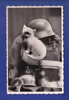 CHAT - Militaire chat rit