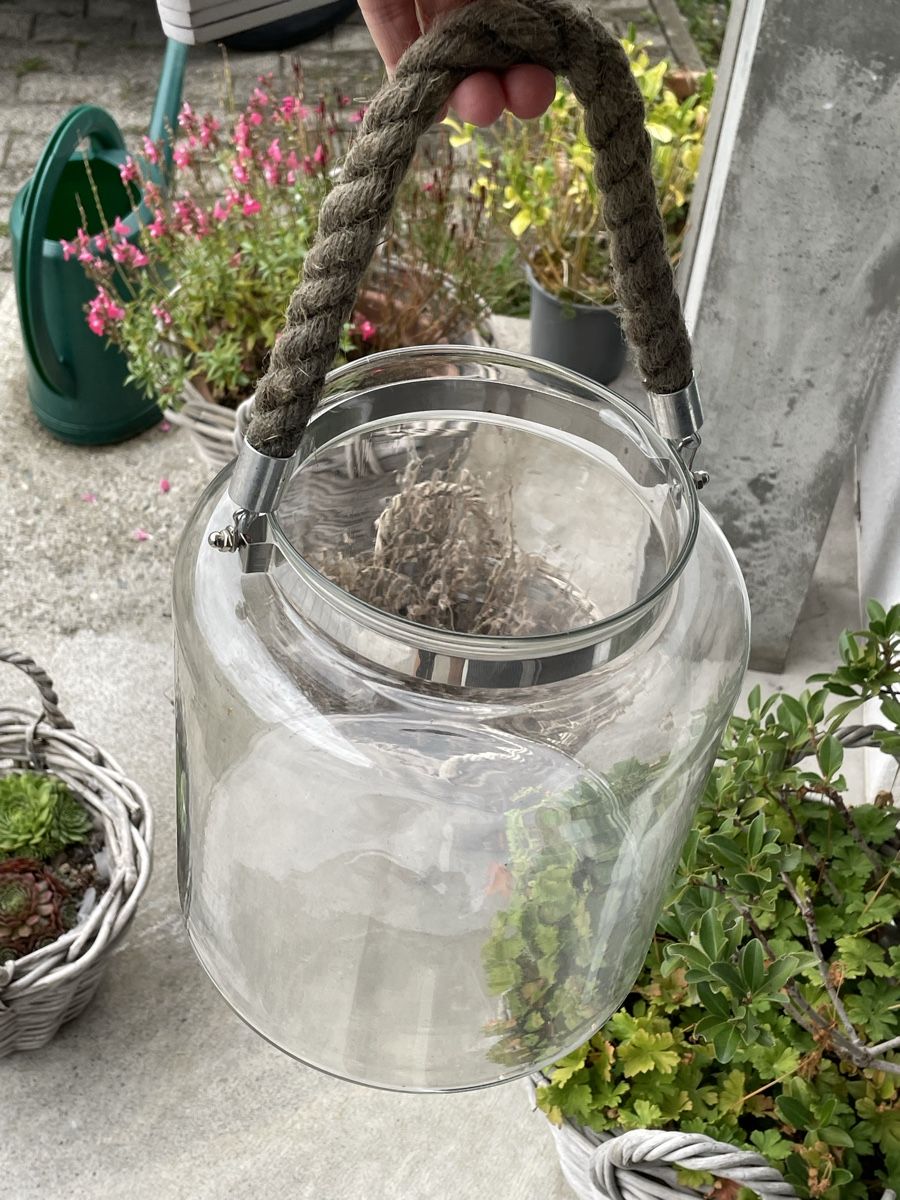 Tutte le decorazioni: Windlicht aus Glas mit Seilgriff  – Usato da Niederbüren venduto da Poschti_19 7