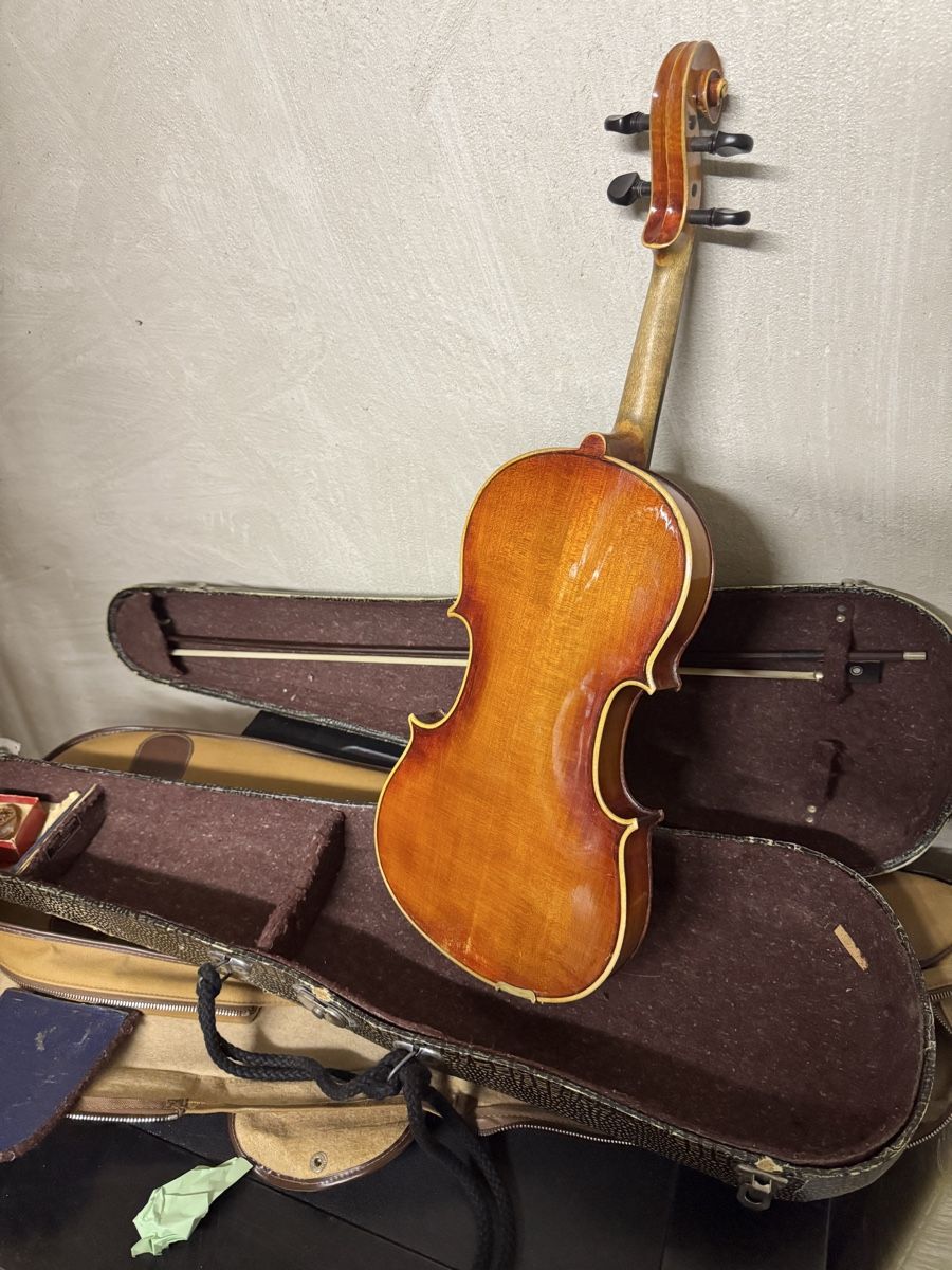 Strumenti musicali: Geige – Usato da Schaffhausen venduto da say_l66j 5