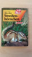Streifenhörnchen: Alles über Haltung & Pflege