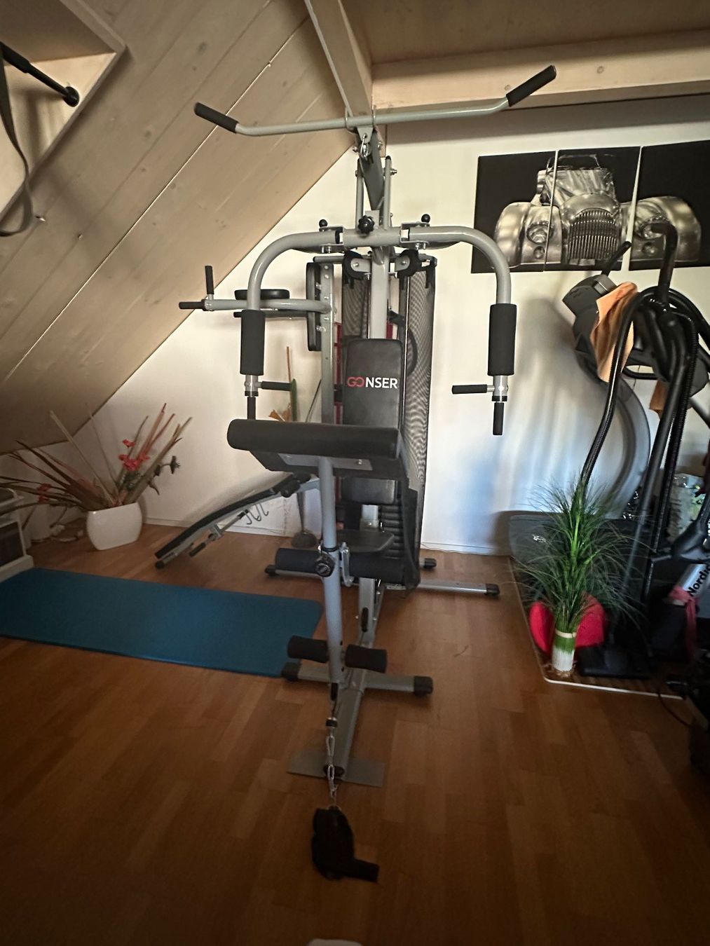 Gonser Hometrainer: XXL Kraftstation Dragon – Usato da Rikon im Tösstal venduto da sani.144 1
