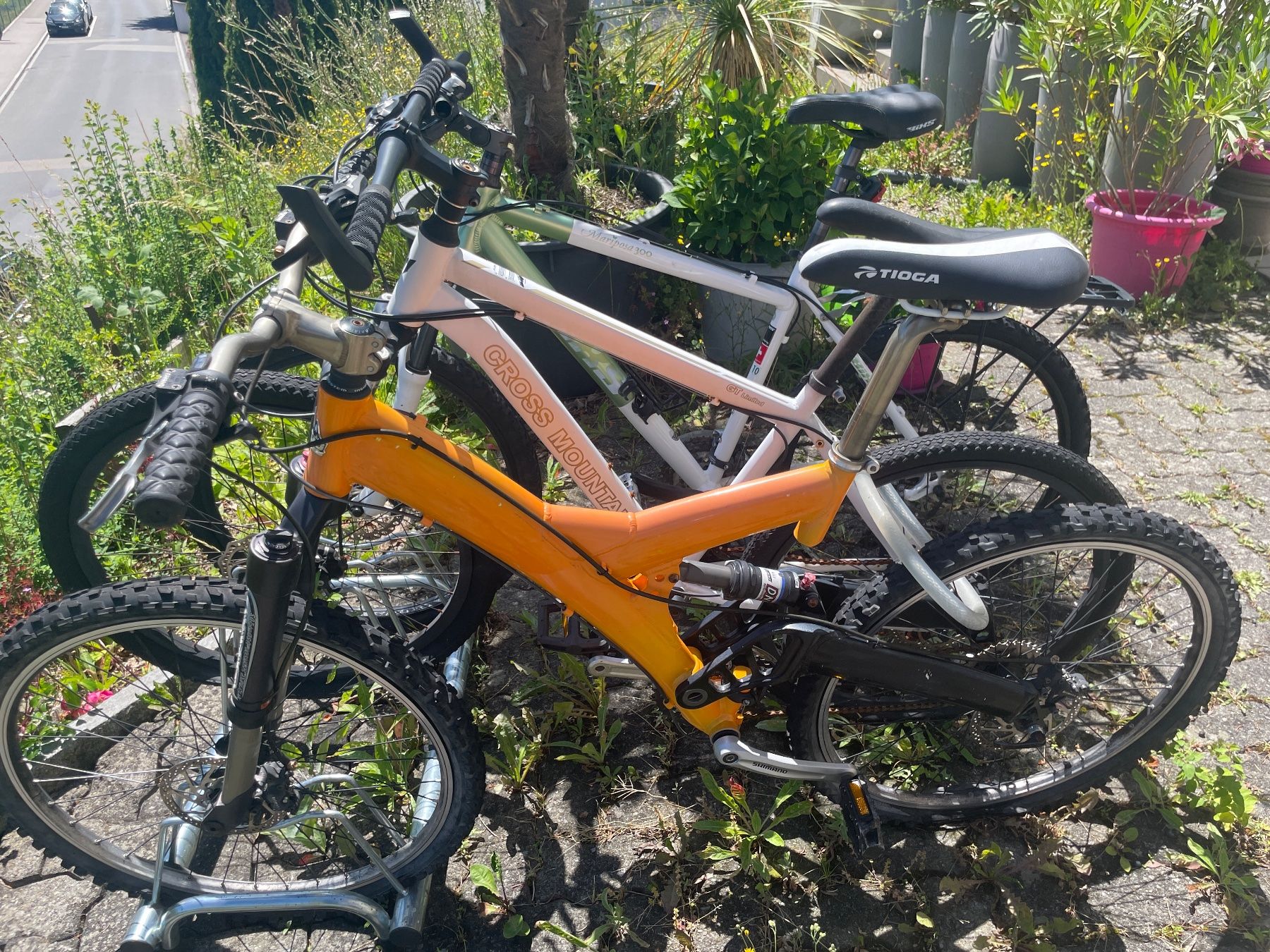 Biciclette: Mountain Bikes – Usato da langnau am albis venduto da APRILIA81