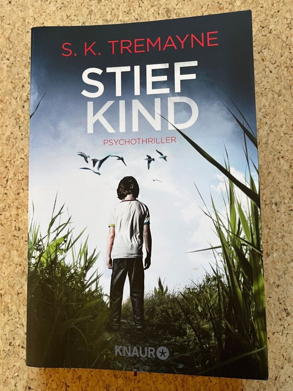 Libri: Taschenbuch "Stiefkind", S. K. Tremayne – Usato da Grosswangen venduto da Vita500