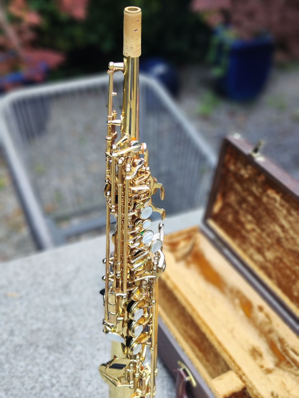 Selmer Strumenti musicali: Selmer Sopran Super Action 80 – Usato da Näfels venduto da LINUSCAT 2