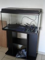🔥Juwel Aquarium 110l mit Unterschrank und viel Zubehör🔥