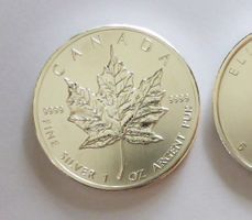 1oz Feinsilber - CANADA, 5 Dollar - Elisabeth II